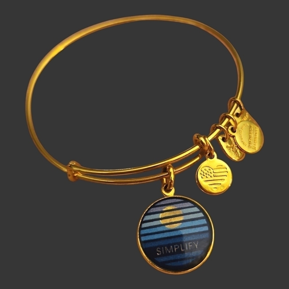ALEX & ANI Simplify Charm Slider Bangle Bracelet